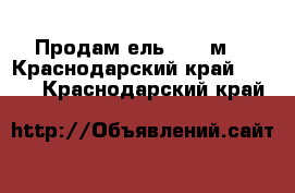 Продам ель 15-16м  - Краснодарский край  »    . Краснодарский край